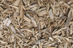 biomass boilers Catacol